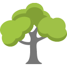 Lubbock Tree Removal Service